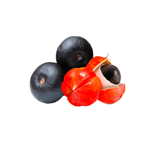 Semillas de Guaraná