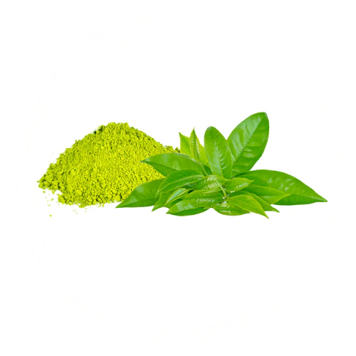 Mezcla de Matcha Theanine Mejorada (EMT™)